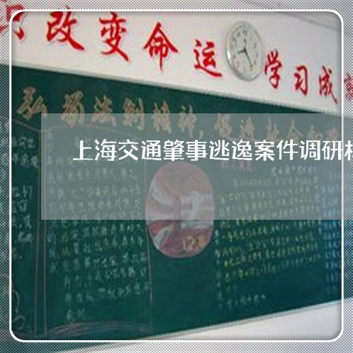 上海交通肇事逃逸案件调研材料/2023060447273 上海交通肇事逃逸案件调研材料/2023060447273
