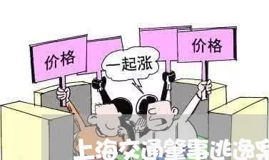 上海交通肇事逃逸案例解析/2023033046151