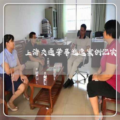 上海交通肇事逃逸案例记实/2023031738169