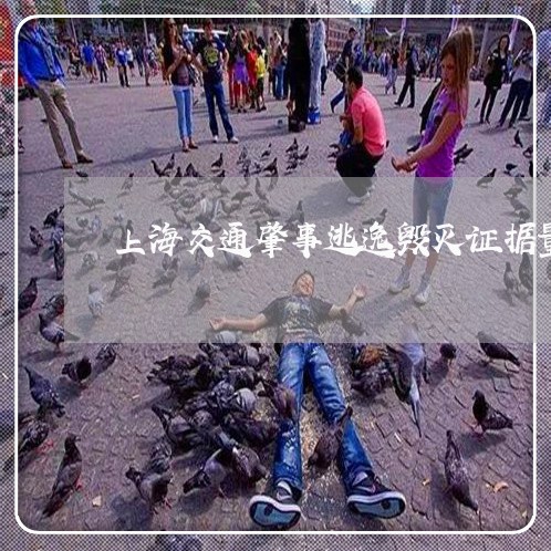 上海交通肇事逃逸毁灭证据量刑/2023060455258