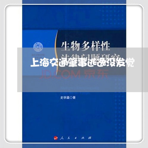 上海交通肇事逃逸没发觉/2023042160593