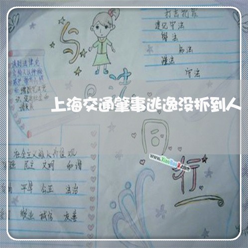 上海交通肇事逃逸没抓到人/2023031774834