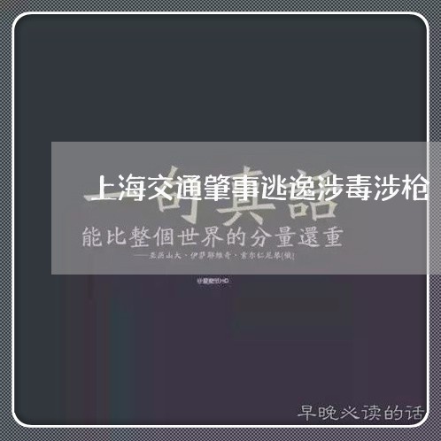 上海交通肇事逃逸涉毒涉枪/2023033084150 上海交通肇事逃逸涉毒涉枪/2023033084150