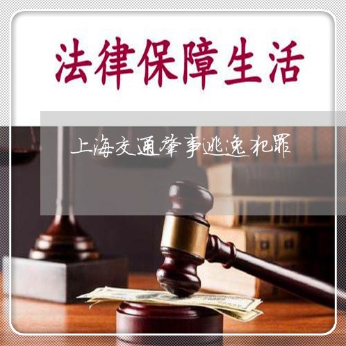 上海交通肇事逃逸犯罪/2023021261582 上海交通肇事逃逸犯罪/2023021261582