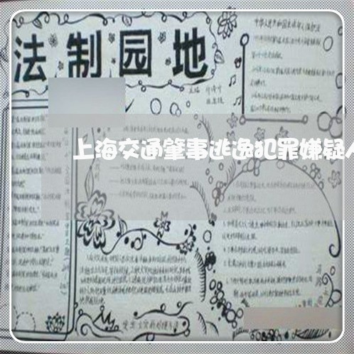 上海交通肇事逃逸犯罪嫌疑人/2023033152604