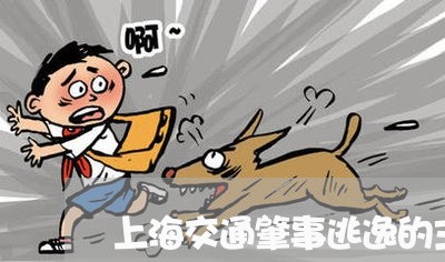 上海交通肇事逃逸的主要案件/2023033128240