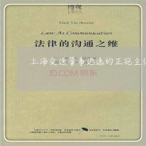 上海交通肇事逃逸的正犯主体/2023033128040 上海交通肇事逃逸的正犯主体/2023033128040