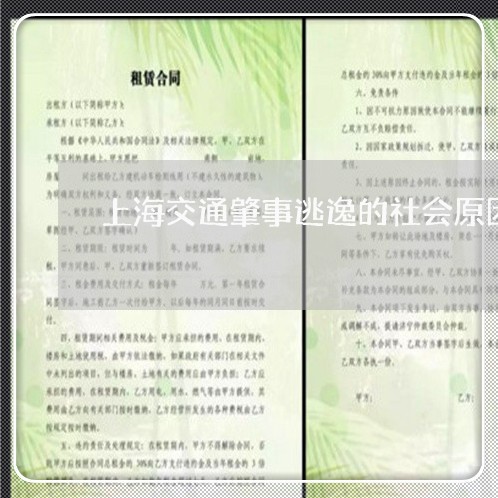 上海交通肇事逃逸的社会原因/2023033185968