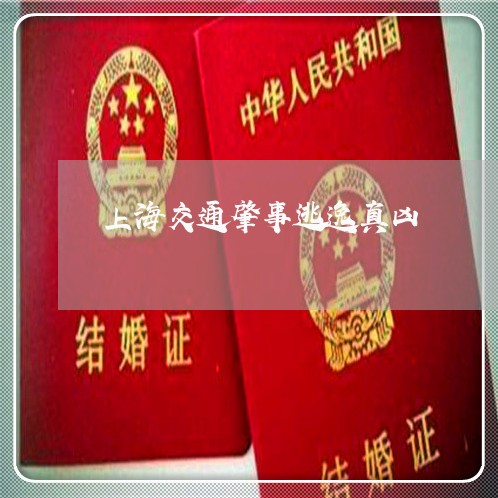 上海交通肇事逃逸真凶/2023021196250 上海交通肇事逃逸真凶/2023021196250
