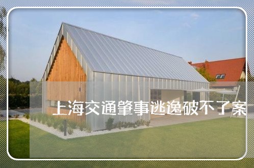 上海交通肇事逃逸破不了案/2023031716938 上海交通肇事逃逸破不了案/2023031716938