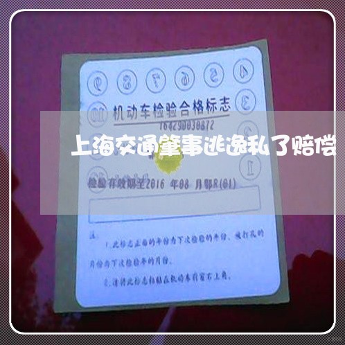上海交通肇事逃逸私了赔偿/2023031747240 上海交通肇事逃逸私了赔偿/2023031747240