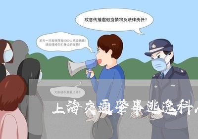 上海交通肇事逃逸科人员/2023042168491