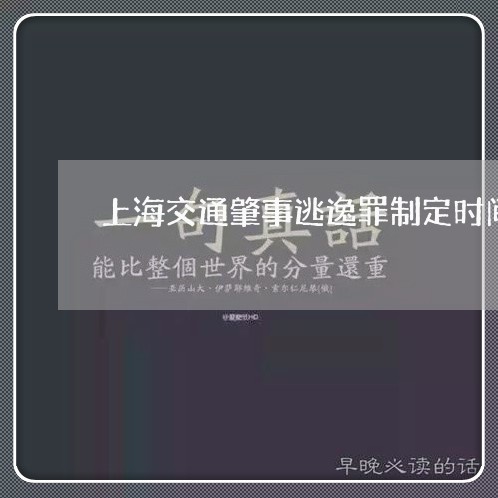 上海交通肇事逃逸罪制定时间/2023033128479