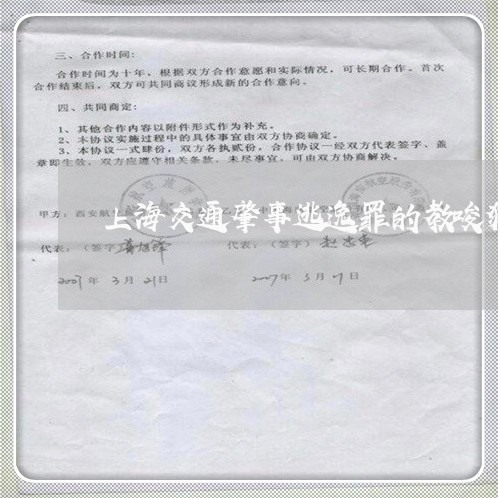 上海交通肇事逃逸罪的教唆犯/2023033172726 上海交通肇事逃逸罪的教唆犯/2023033172726