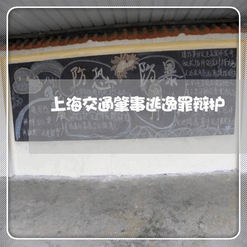 上海交通肇事逃逸罪辩护/2023022790482