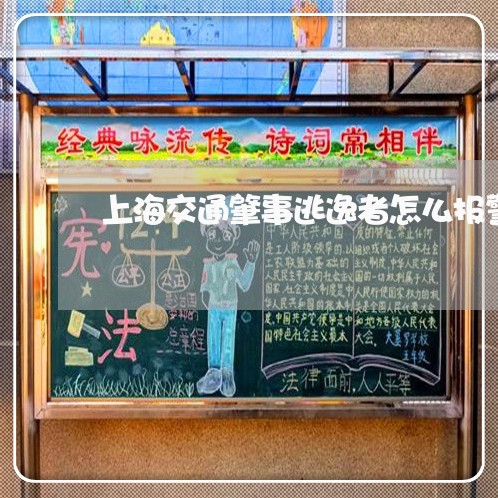 上海交通肇事逃逸者怎么报警/2023033197149 上海交通肇事逃逸者怎么报警/2023033197149