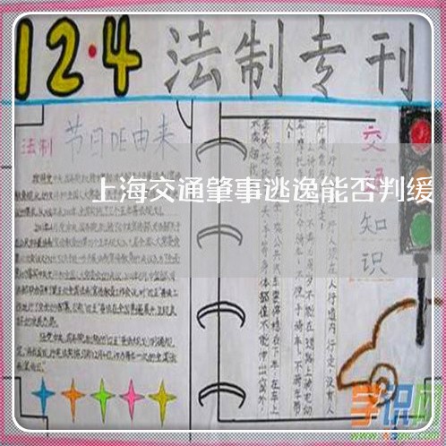 上海交通肇事逃逸能否判缓/2023031726169 上海交通肇事逃逸能否判缓/2023031726169