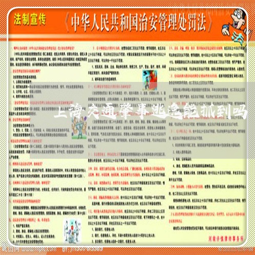 上海交通肇事逃逸能抓到吗/2023031723838