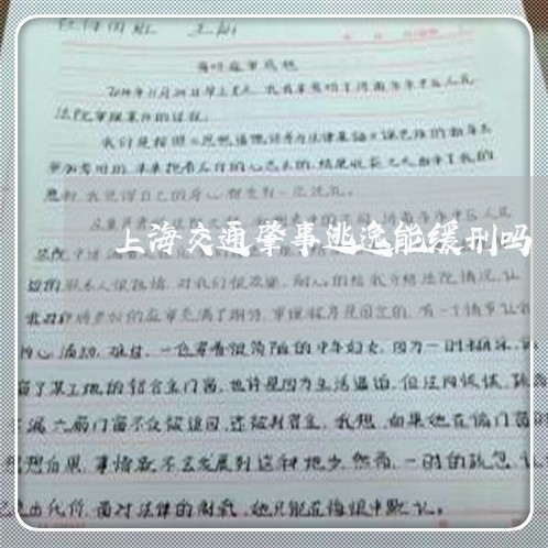 上海交通肇事逃逸能缓刑吗/2023033097061