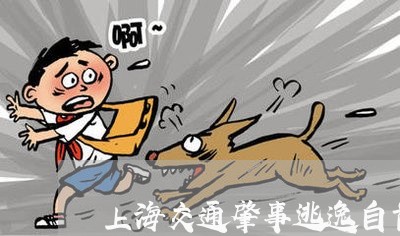 上海交通肇事逃逸自首负全责/2023033171715 上海交通肇事逃逸自首负全责/2023033171715