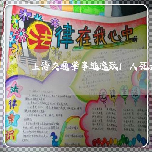 上海交通肇事逃逸致1人死亡/2023033132513 上海交通肇事逃逸致1人死亡/2023033132513