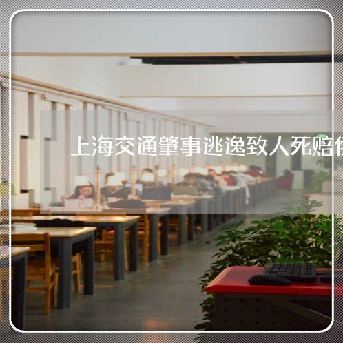 上海交通肇事逃逸致人死赔偿/2023033126140