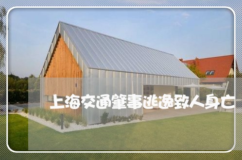 上海交通肇事逃逸致人身亡/2023031752816 上海交通肇事逃逸致人身亡/2023031752816