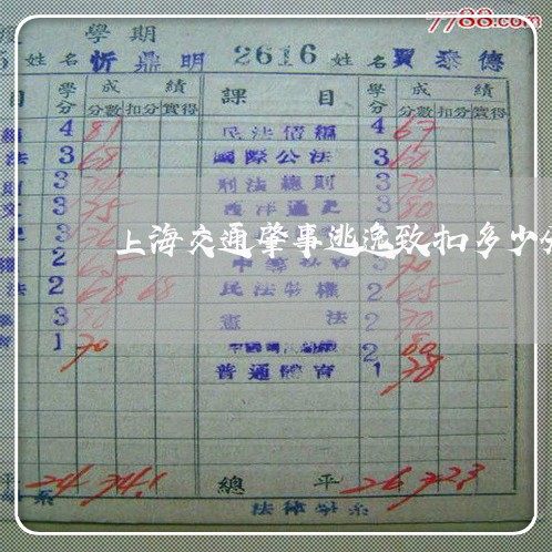 上海交通肇事逃逸致扣多少分/2023033053526