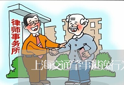 上海交通肇事逃逸行为追溯/2023031734058 上海交通肇事逃逸行为追溯/2023031734058