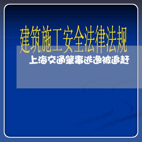 上海交通肇事逃逸被追赶/2023022771681 上海交通肇事逃逸被追赶/2023022771681