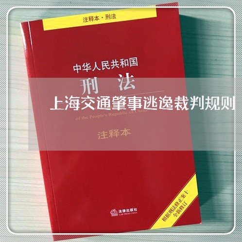 上海交通肇事逃逸裁判规则/2023033048292