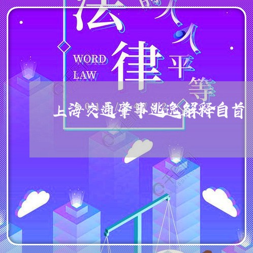 上海交通肇事逃逸解释自首/2023031749395 上海交通肇事逃逸解释自首/2023031749395