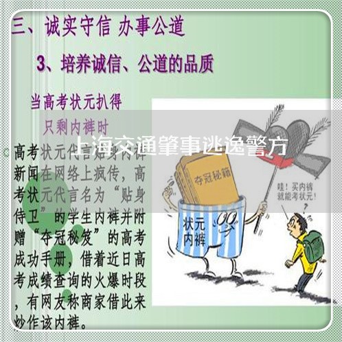 上海交通肇事逃逸警方/2023021294838 上海交通肇事逃逸警方/2023021294838