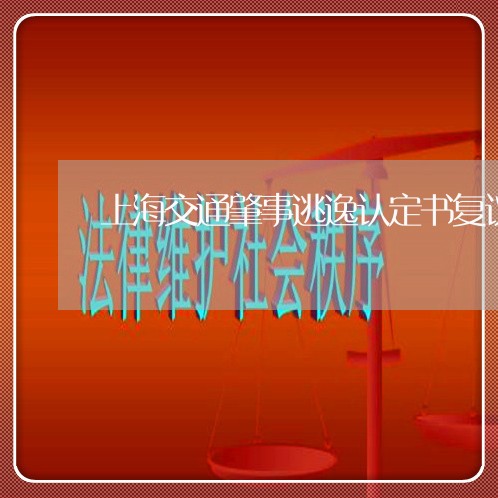 上海交通肇事逃逸认定书复议/2023033051404 上海交通肇事逃逸认定书复议/2023033051404