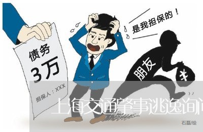 上海交通肇事逃逸询问侦办/2023031751726
