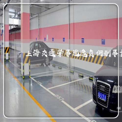 上海交通肇事逃逸负何刑事责任/2023060473716