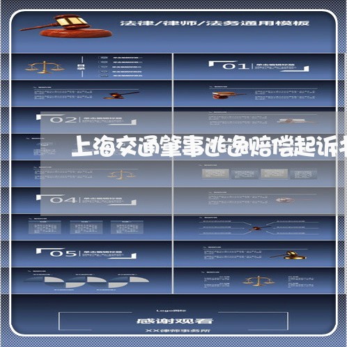 上海交通肇事逃逸赔偿起诉书/2023033034949 上海交通肇事逃逸赔偿起诉书/2023033034949