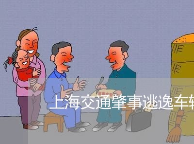 上海交通肇事逃逸车辆保全/2023031728379 上海交通肇事逃逸车辆保全/2023031728379