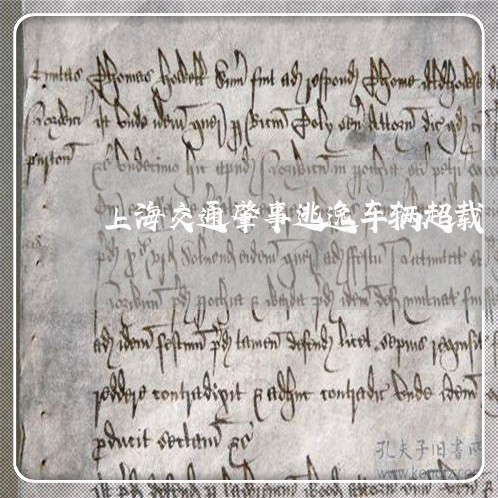 上海交通肇事逃逸车辆超载/2023031796148