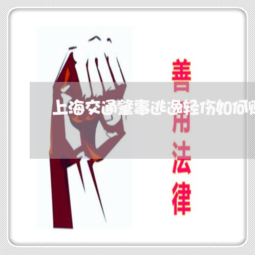 上海交通肇事逃逸轻伤如何赔偿/2023060482616 上海交通肇事逃逸轻伤如何赔偿/2023060482616