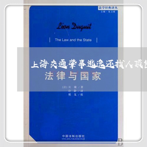 上海交通肇事逃逸还找人顶包/2023033061496 上海交通肇事逃逸还找人顶包/2023033061496