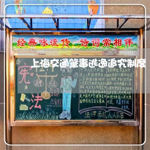 上海交通肇事逃逸追究制度/2023031770714