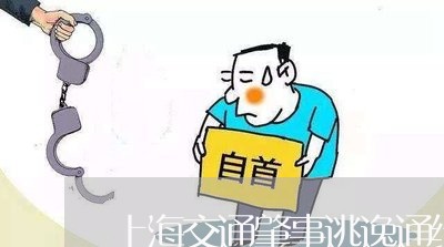 上海交通肇事逃逸通缉吗/2023022718059 上海交通肇事逃逸通缉吗/2023022718059