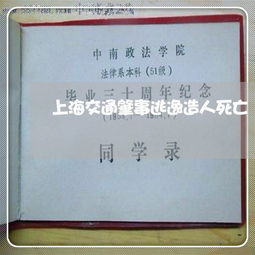 上海交通肇事逃逸造人死亡/2023033084138