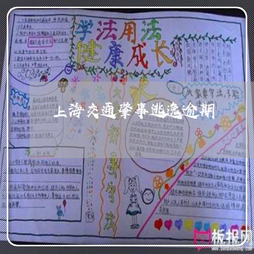 上海交通肇事逃逸逾期/2023021265958 上海交通肇事逃逸逾期/2023021265958
