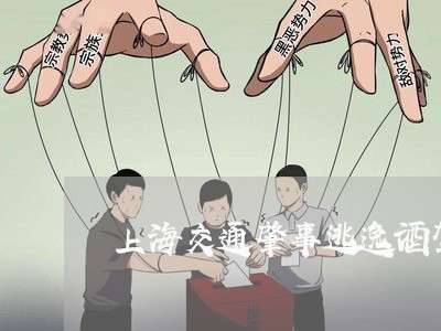 上海交通肇事逃逸酒驾毒驾/2023031795869 上海交通肇事逃逸酒驾毒驾/2023031795869