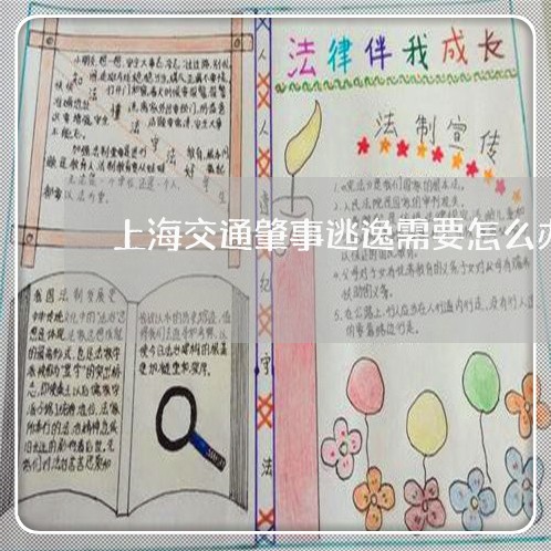 上海交通肇事逃逸需要怎么办/2023033025037 上海交通肇事逃逸需要怎么办/2023033025037