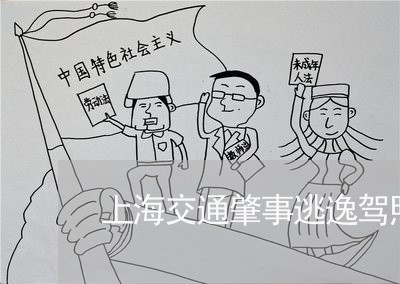 上海交通肇事逃逸驾照啥时吊销/2023060476159