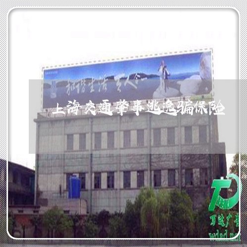 上海交通肇事逃逸骗保险/2023022730461 上海交通肇事逃逸骗保险/2023022730461