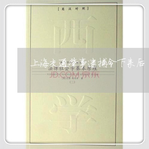 上海交通肇事逮捕令下来后/2023031752613